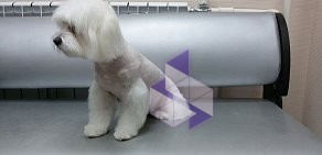 Груминг-салон Pet Beauty на Россошанской улице