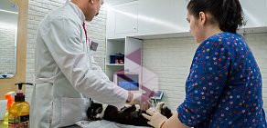 Ветеринарная клиника Био-Вет на метро Шипиловская