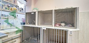 Ветеринарная клиника Ветлайф на Бескудниковском бульваре, на метро Верхние Лихоборы 