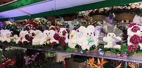 Магазин цветов Пион на метро Киевская