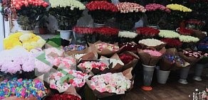 Магазин цветов Пион на метро Киевская
