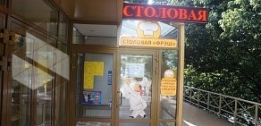 Отель — апартаменты Светлана в самом центре Сочи