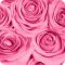 Салон цветов Розы Мурманска