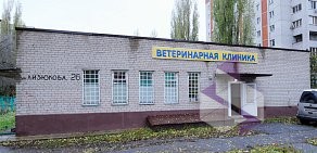 Ветеринарная клиника Доктор Вет на улице Генерала Лизюкова