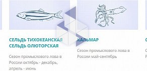 ЦСОП Рыба и морепродукты оптом и мелким оптом