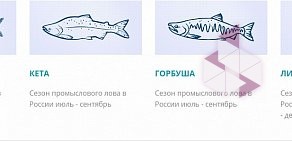 ЦСОП Рыба и морепродукты оптом и мелким оптом