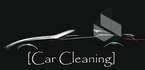 Car Cleaning