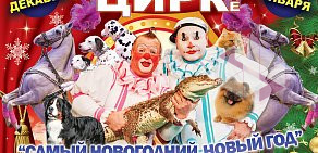 Пермский государственный цирк