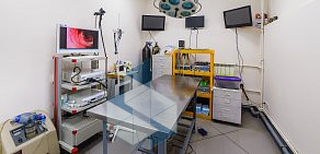 Центр эндоскопии, хирургии и травматологии Ветеринарная клиника доктора Седова  