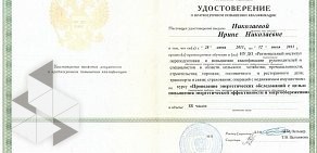 САИ-проект