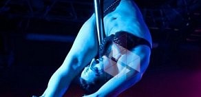 Pole dance студия Butterfly