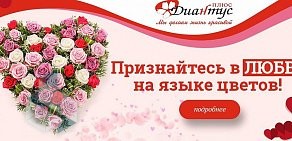 Торговая компания Диантус Плюс