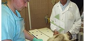 Воронежская городская станция по борьбе с болезнями животных в Железнодорожном районе