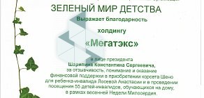 Группа компаний Мегатэкс