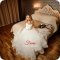 Бутик свадебной и вечерней моды Faina Fashion Boutique