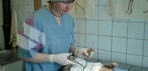 Лаборатория ветеринарно-санитарной экспертизы Московское объединение ветеринарии Северо-Восточного административного округа