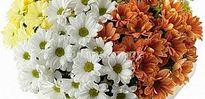 Пермская цветочная компания A-Flowers-Perm