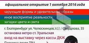 Проект-выставка «СКРЫТАЯ РЕАЛЬНОСТЬ» ДК Железнодорожников