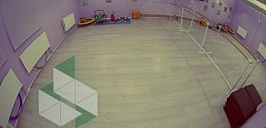 Детский спортивно-оздоровительный центр Алекса на метро Речной вокзал