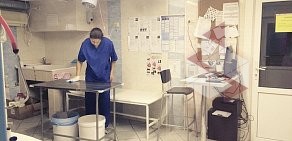 Ветеринарный центр Лебеди в Видном