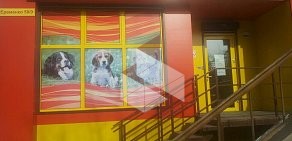 Сеть магазинов для животных Белый какаду на улице Еременко 58\9