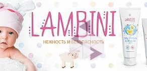 Парфюмерно-косметическая компания Lambre на метро Ленинская