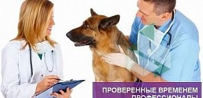 Выездная ветеринарная служба Кот Леопольд