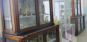 СибГМУ Музей патологической анатомии